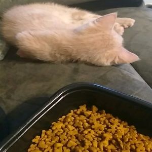 Meet your Posher, Glenda